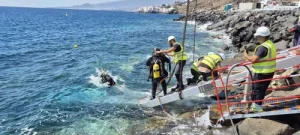 Contratas Submarinas Canarias