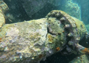 Contratas Submarinas Canarias