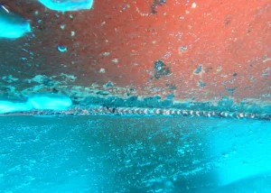 Contratas Submarinas Canarias